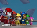 Paw Patrol, la Pat'Patrouille Paw Patrol, la Pat'Patrouille