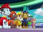 Paw Patrol, la Pat'Patrouille