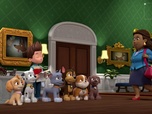 Paw Patrol, la Pat'Patrouille