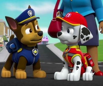 Paw Patrol, la Pat'Patrouille - Les chats secouristes
