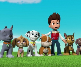 Paw Patrol, la Pat'Patrouille - Les trois oiseaux