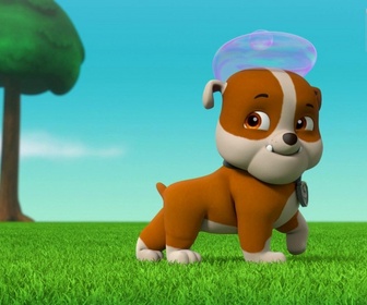 Paw Patrol, la Pat'Patrouille - La Super Patrouille, Puissance Maximale : le retour du Copichat