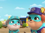 Ruben & CIE
