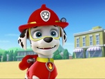 Paw Patrol, la Pat'Patrouille