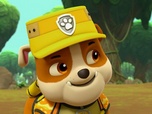 Paw Patrol, la Pat'Patrouille