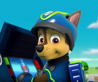 Paw Patrol, la Pat'Patrouille - Alex a perdu sa dent