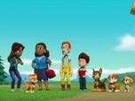 Paw Patrol, la Pat'Patrouille Paw Patrol, la Pat'Patrouille