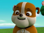 Paw Patrol, la Pat'Patrouille