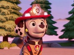 Paw Patrol, la Pat'Patrouille Paw Patrol, la Pat'Patrouille