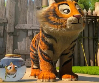 Les as de la jungle à la rescousse - 31/12/2025