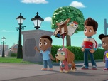 Paw Patrol, la Pat'Patrouille