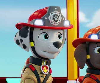 Paw Patrol, la Pat'Patrouille - Mission Pompiers : Un reportage exclusif