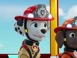 Paw Patrol, la Pat'Patrouille