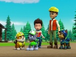 Paw Patrol, la Pat'Patrouille