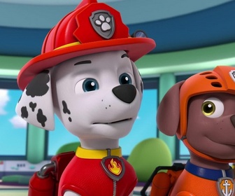 Paw Patrol, la Pat'Patrouille - Monsieur Hellinger, pilote d'hélicoptère