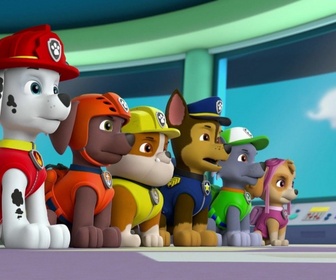 Paw Patrol, la Pat'Patrouille - Madame Goodway à la ferme