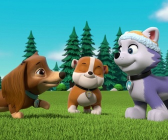 Paw Patrol, la Pat'Patrouille - Liberty à la rescousse