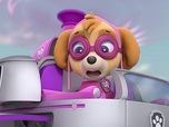 Paw Patrol, la Pat'Patrouille Paw Patrol, la Pat'Patrouille