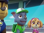 Paw Patrol, la Pat'Patrouille