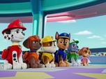 Paw Patrol, la Pat'Patrouille