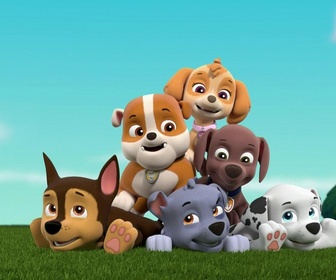 Paw Patrol, la Pat'Patrouille - Trisha sème la pagaille