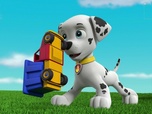 Paw Patrol, la Pat'Patrouille
