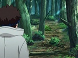 Naruto Shippuden