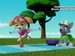 Paw Patrol, la Pat'Patrouille