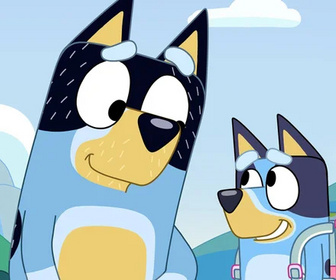 Bluey - 31/07/2026