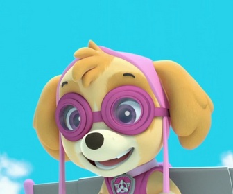 Paw Patrol, la Pat'Patrouille - La grenouille qui vole