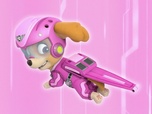 Paw Patrol, la Pat'Patrouille