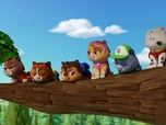 Paw Patrol, la Pat'Patrouille Paw Patrol, la Pat'Patrouille