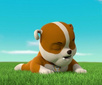 Paw Patrol, la Pat'Patrouille - A la recherche du sac perdu