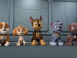 Paw Patrol, la Pat'Patrouille