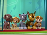 Paw Patrol, la Pat'Patrouille
