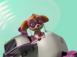 Paw Patrol, la Pat'Patrouille