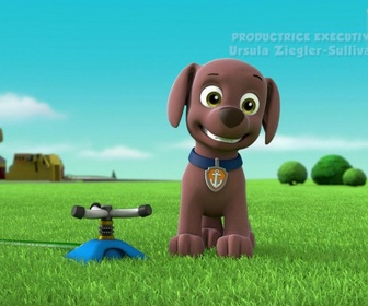 Paw Patrol, la Pat'Patrouille - S06 E03 - Sauvetage extrême : Alerte grosse chaleur