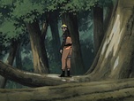 Naruto Shippuden