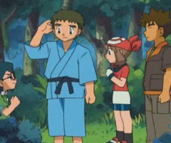 Pokémon - Querelle d'amoureux