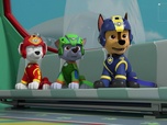Paw Patrol, la Pat'Patrouille