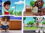 Paw Patrol, la Pat'Patrouille