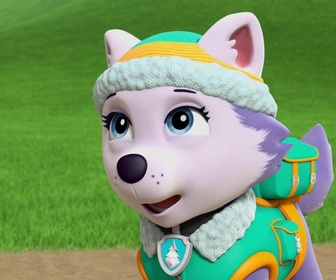 Compilation Paw Patrol, la Pat'Patrouille 1