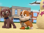 Paw Patrol, la Pat'Patrouille