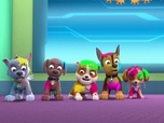 Paw Patrol, la Pat'Patrouille