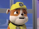 Paw Patrol, la Pat'Patrouille