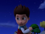 Paw Patrol, la Pat'Patrouille Paw Patrol, la Pat'Patrouille