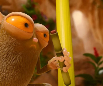 Les as de la jungle à la rescousse - 07/12/2025